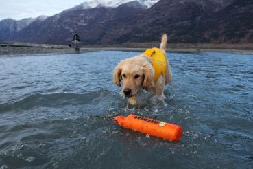 Ruffwear Lunker Campfire Orange Gr. M